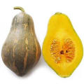 Thailand kernels favor pumpkin seeds hybrid F1